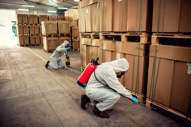 Best Affordable Pest Control Services  in Bridgeport, NY