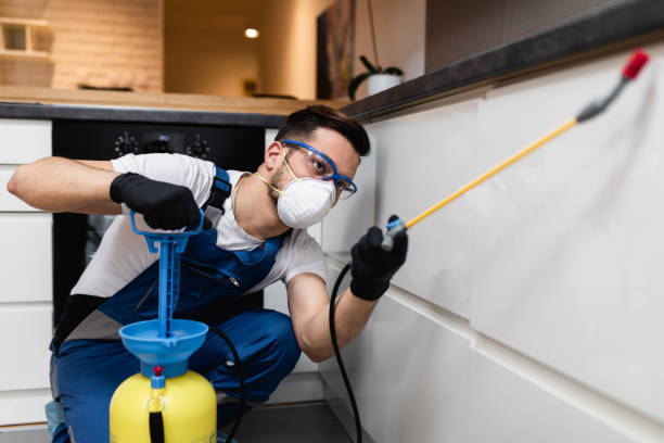 Best Pest Removal Services  in Bridgeport, NY