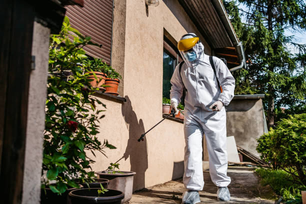 Wildlife Control Services in Bridgeport, NY