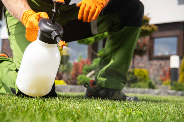 Best Best Pest Control Companies  in Bridgeport, NY