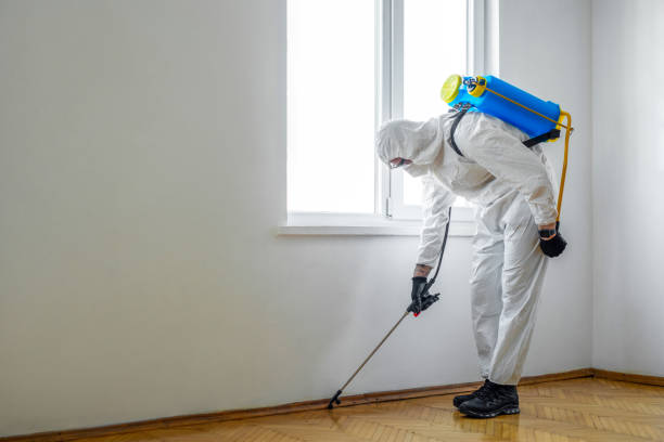 Best Rat Extermination Near Me  in Bridgeport, NY