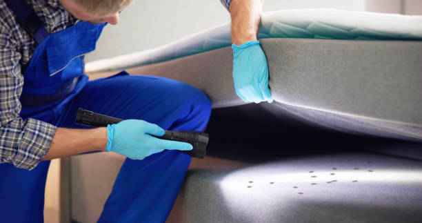 Best Wasp Removal Services  in Bridgeport, NY