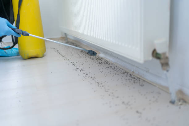 Pest Prevention Services in Bridgeport, NY