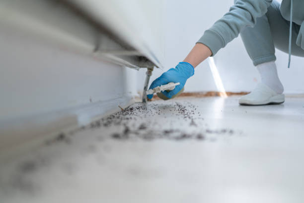 Best Mosquito Control Services  in Bridgeport, NY