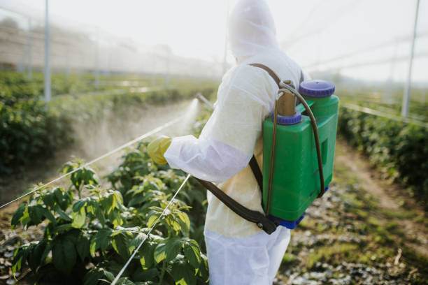 Best Residential Pest Control  in Bridgeport, NY